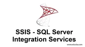 SQL Server Integration Services (SSIS)
