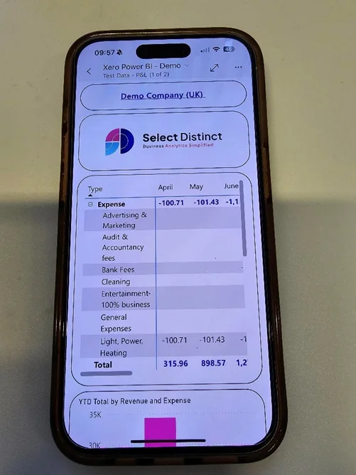 Mobile view of Power BI P&L