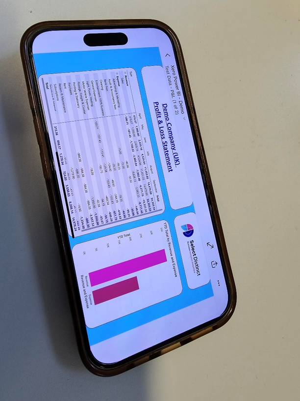Mobile view of the Power BI report that shows the Demo Company Profit & Loss