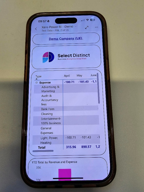 Mobile view of Power BI P&L