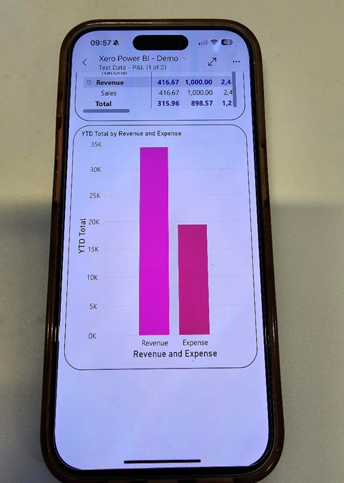 Mobile view of Power BI showing the chart of Revenue and Expense YTD figures