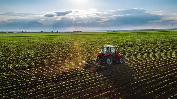 Agricultural field with a red tractor working between crop rows at sunrise.