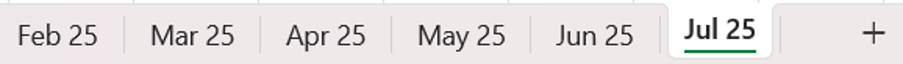 Excel sheet showing multiple tabs of the months