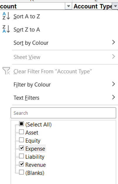 Excel filtered to be Expense and Revenue
