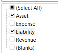 Asset and Liability filtered in Excel